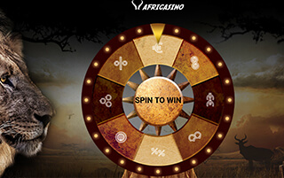 Make Winning a Daily Habit with Match Bonuses, Zero Wager Spins and More!